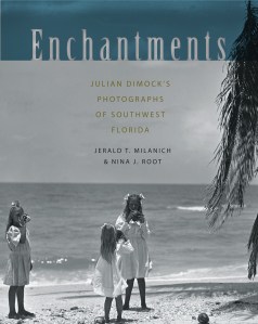 Milanich enchantment cover