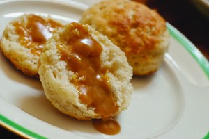 Gravy Horse. Credit: John Rott