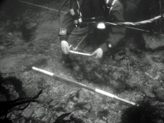 SAMSUNG TECHWIN DIGIMAX-410