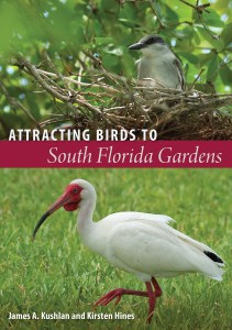 Attracting_Birds_to_South_Florida_Gardens_RGB