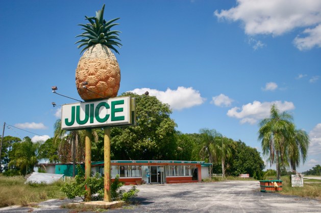 Shonda’s Souvenirs Pineapple