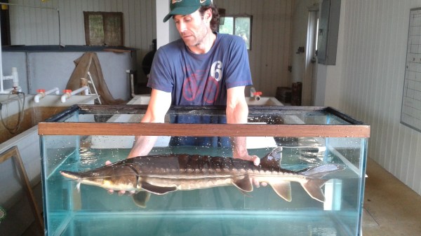 Welaka_Hatchery_ZRandall