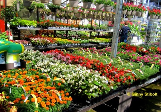 Stibolt-image-2_garden-center