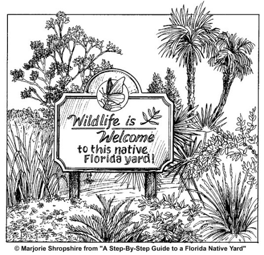 Stibolt-image-4_Shropshire-illustration