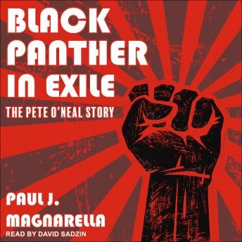 Black_Panther_in_Exile_audiobook