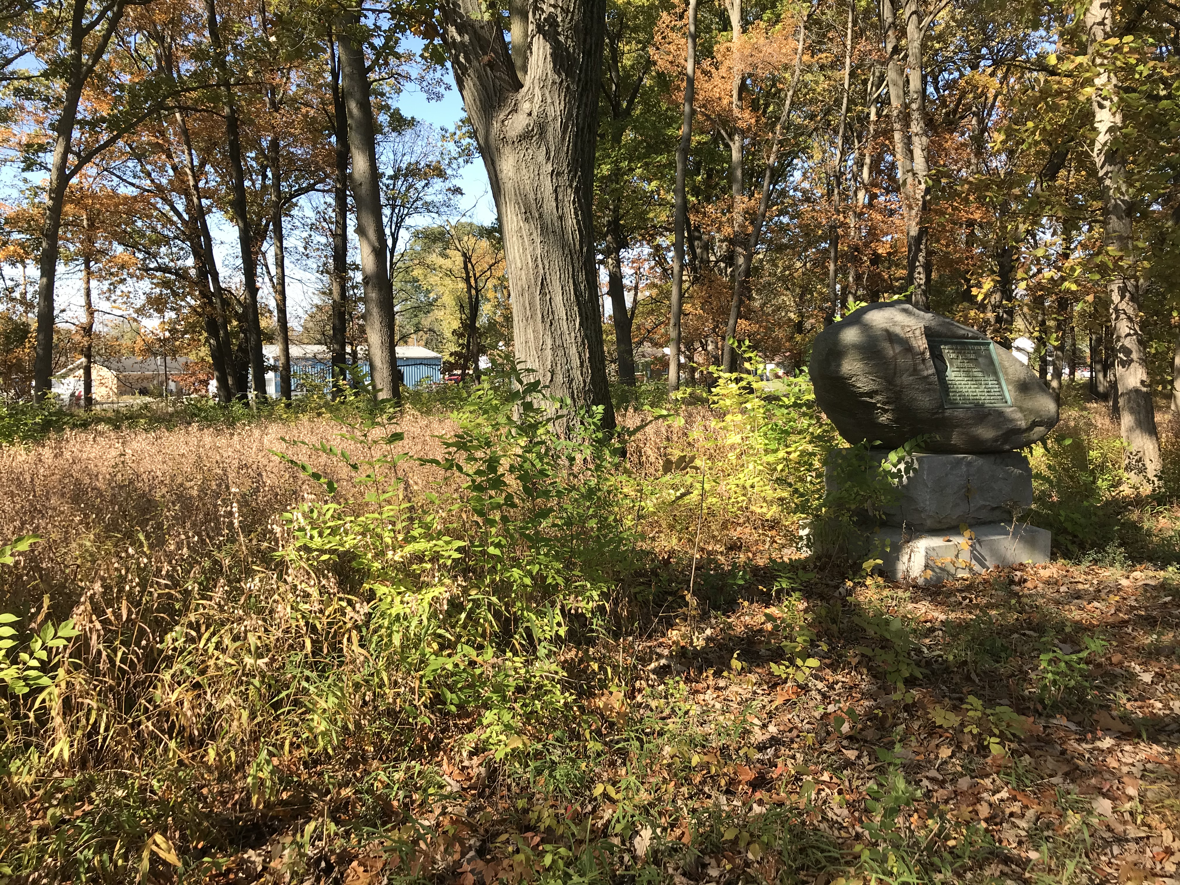 Memorial Grove Nov 2019