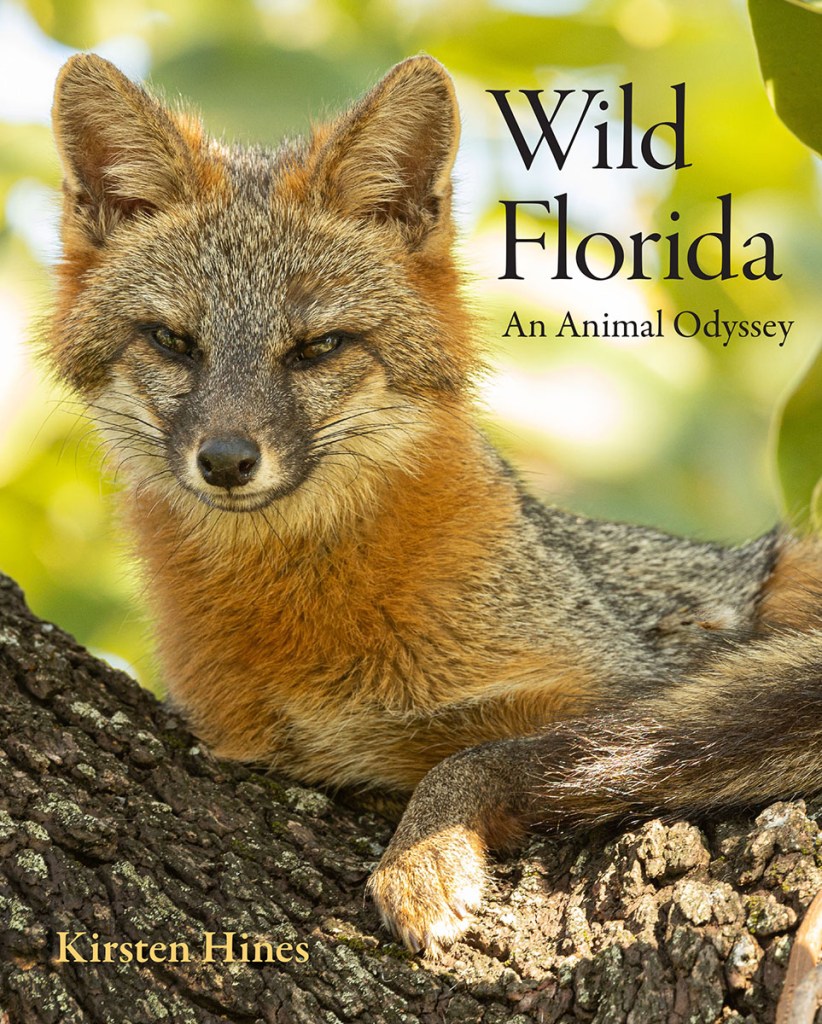 Book cover of Wild Florida: An Animal Odyssey, by Kirsten Hines.